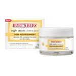 Burts Bees Skin Nourishment Night Cream 51g