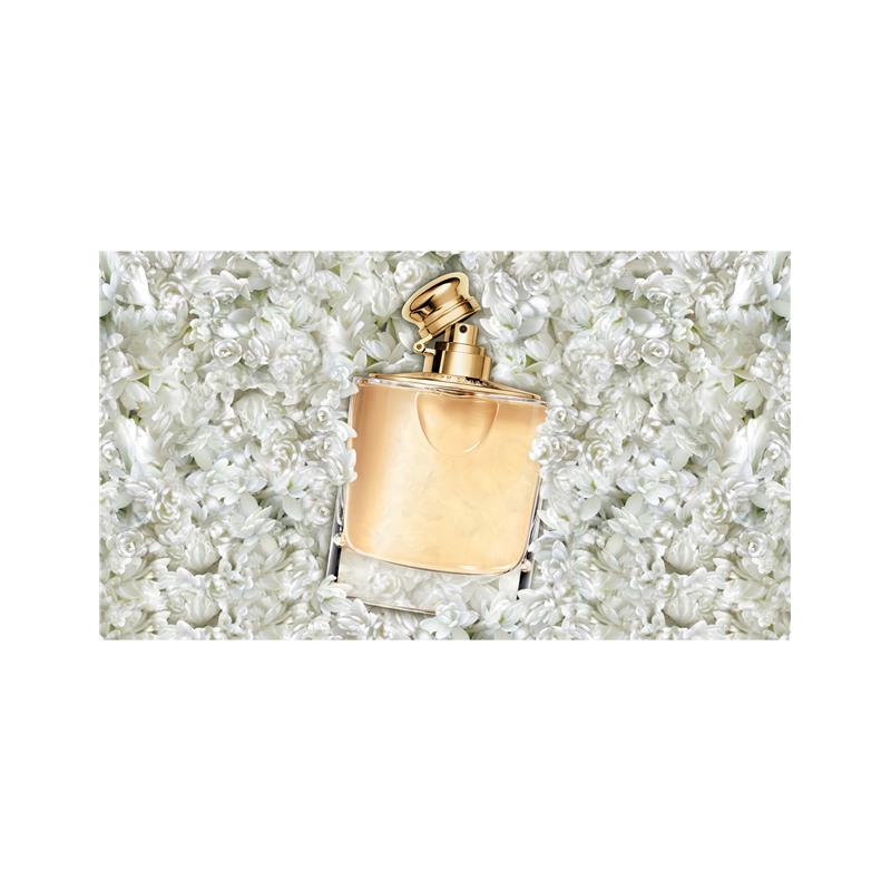 Buy Ralph Lauren Woman Eau De Parfum 50ml 3 Piece Set Online at Chemist