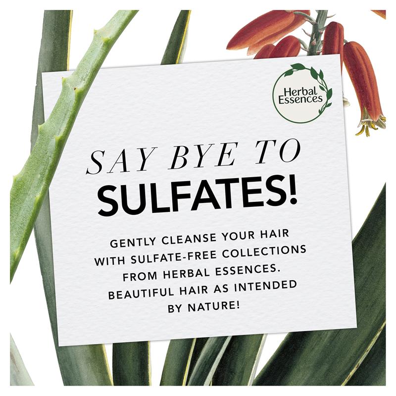 Buy Herbal Essences Bio Renew Aloe & Manuka Honey Conditioner 350ml