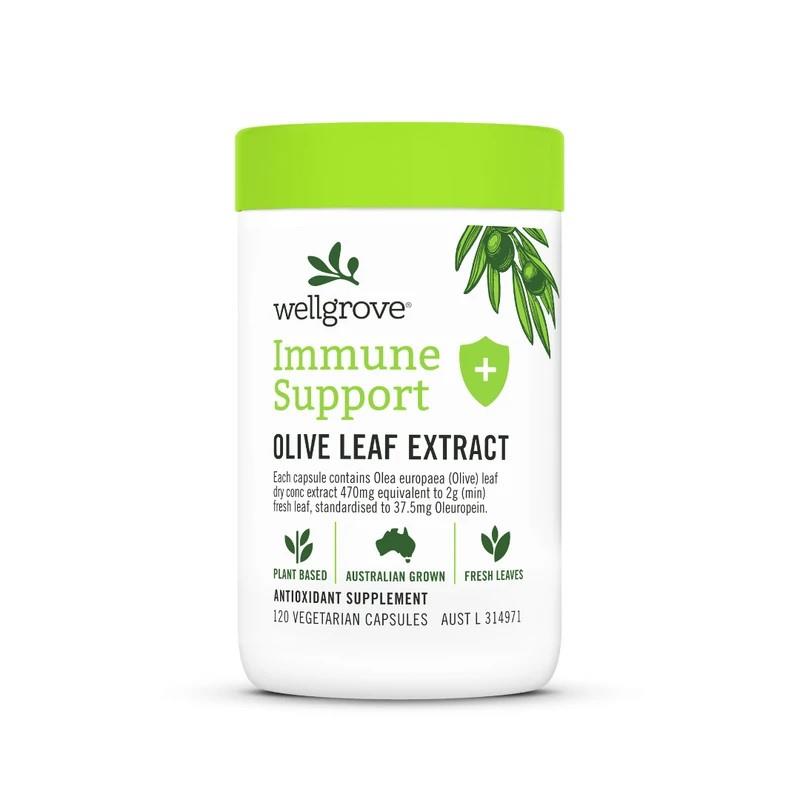 Buy Wellgrove Immune Support Olive Leaf Extract 120 Capsules Online at
