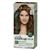 Clairol Root Touch Up Natural Instincts 5G Golden Brown Permanent Hair Colour