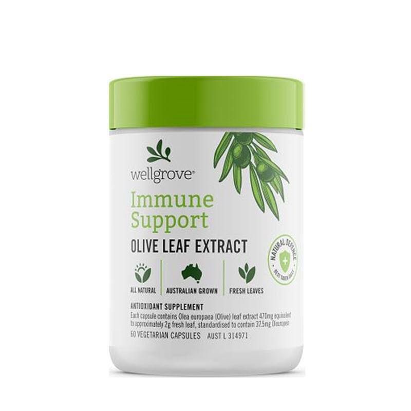 Buy Wellgrove Immune Support Olive Leaf Extract 60 Capsules Online at
