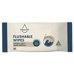 CleanLIFE Flushable Wipes 40 Pack