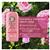 Herbal Essences Classics Rose Hips Conditioner 400ml