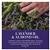 Herbal Essences Classics Lavender Conditioner 400ml