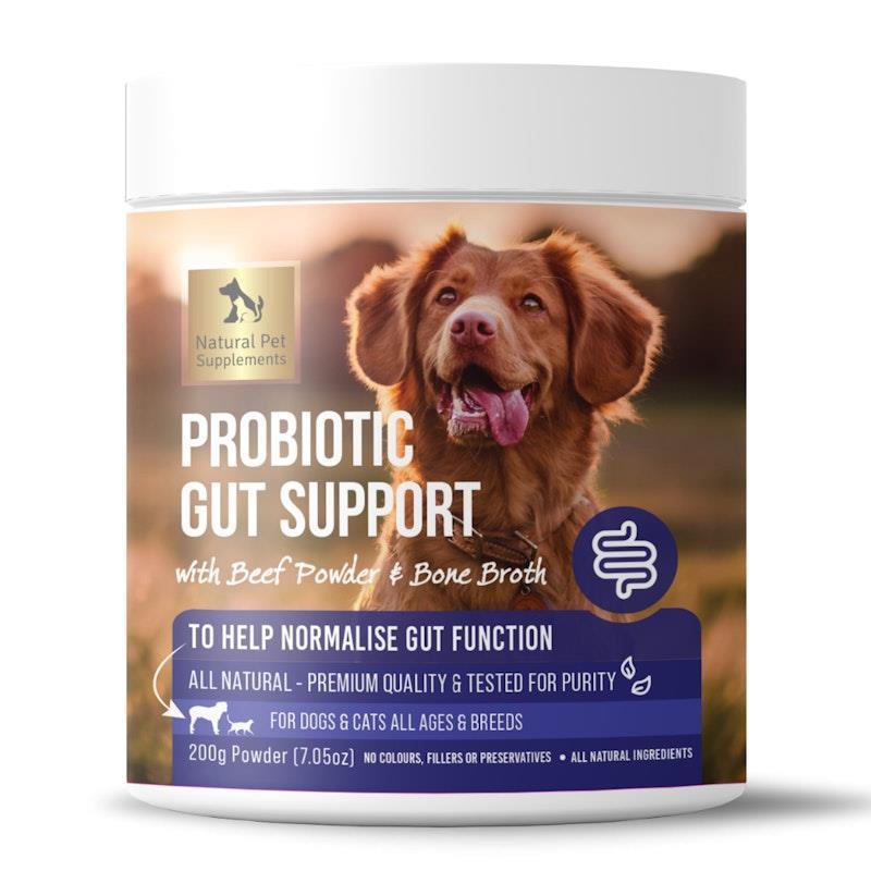 Buy Natural Pet Supplements Probiotic Gut Support for Dogs and Cats ...