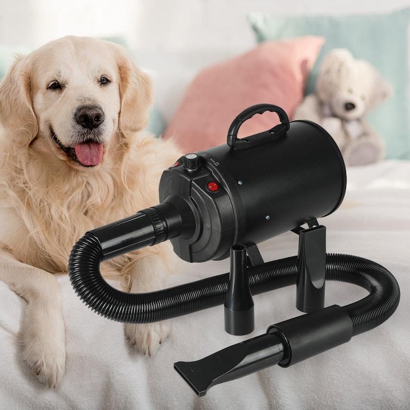 Buy PaWz Dog Cat Pet Hair Dryer Grooming Blow Speed Hairdryer Blower ...