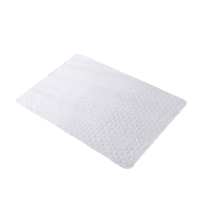 Buy DreamZ 2x Bed Pad Waterproof Bed Protector Absorbent Incontinence Underpad Washable 183cm x
