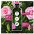 Herbal Essences Replenishing Rosehip & Jojoba Hair Care Shampoo 600ml