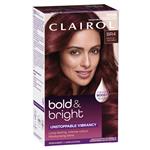 Clairol Bold N Bright Shade BR4 Fruits of Forest