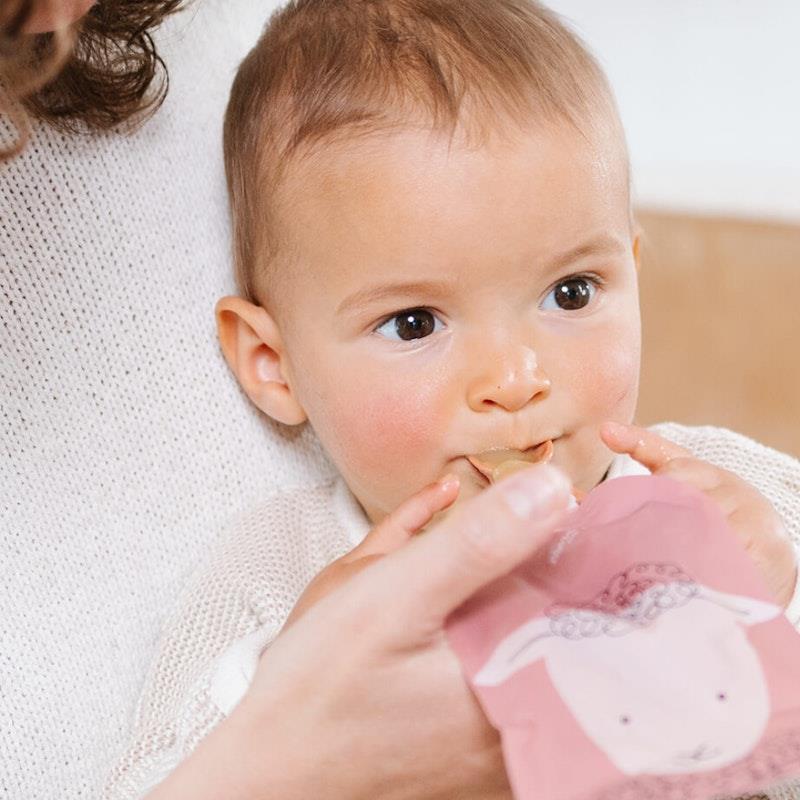 Buy Cherub Baby On the Go Reusable Food Pouches Bundle Kit