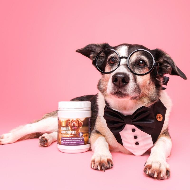 Buy Natural Pet Supplements Mobility Joint Support Powder for Dogs and
