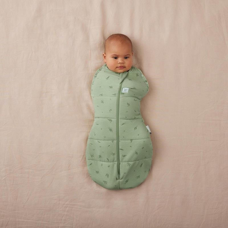 Buy ergoPouch Cocoon Swaddle Bag Willow 2.5 TOG 36M Online at Chemist