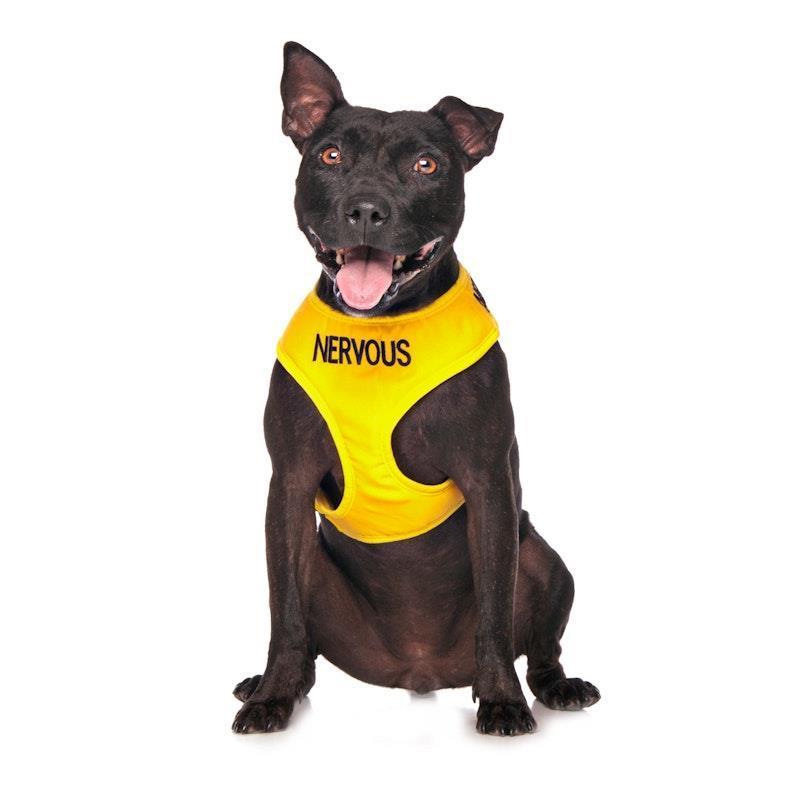 Friendly Dog Collars NERVOUS Medium adjustable Vest Harness 1pc