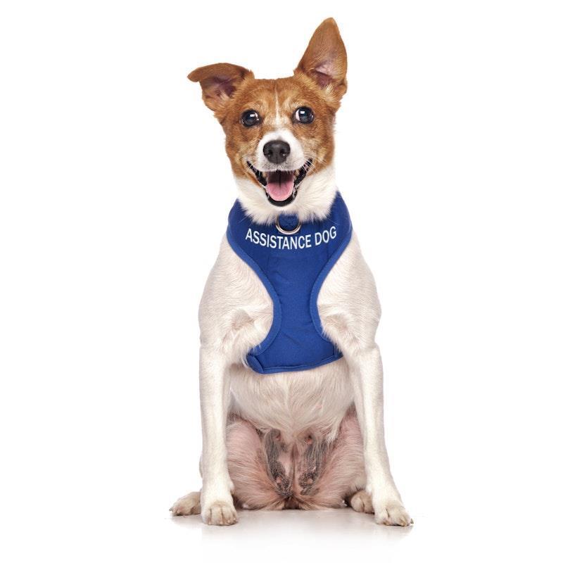 Friendly Dog Collars ASSISTANCE DOG Small adjustable Vest Harness 1pc