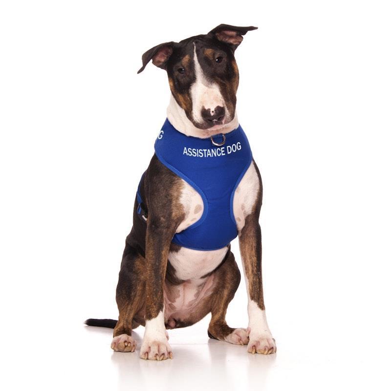 Friendly Dog Collars ASSISTANCE DOG Large adjustable Vest Harness 1pc