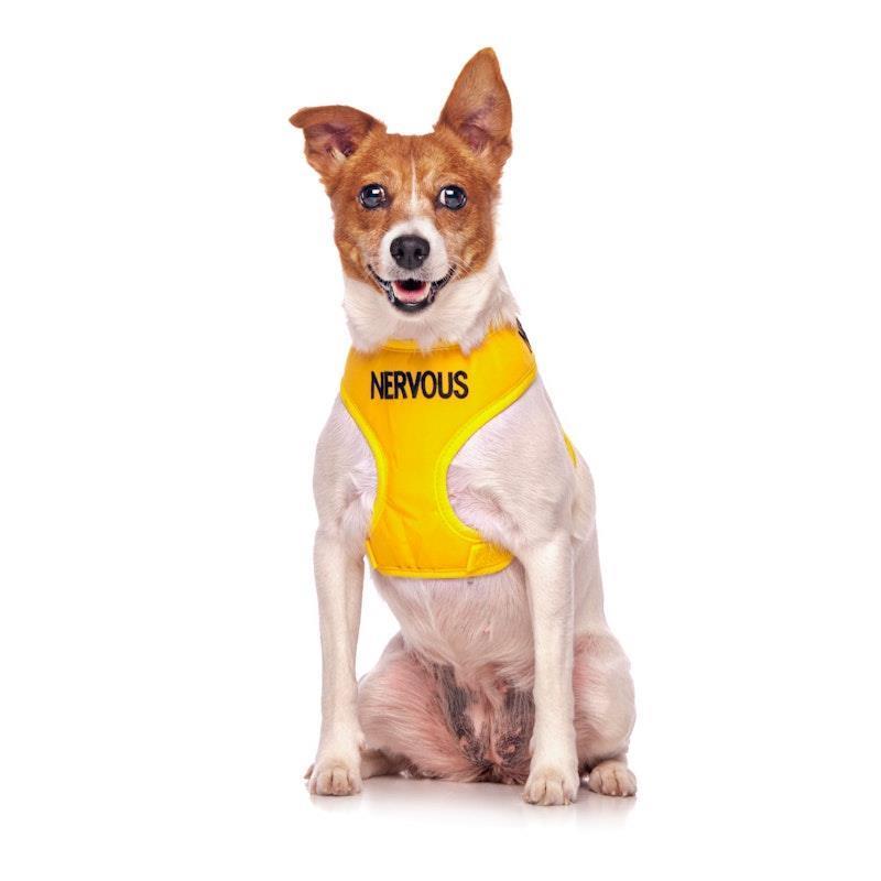 Friendly Dog Collars NERVOUS Small adjustable Vest Harness 1pc