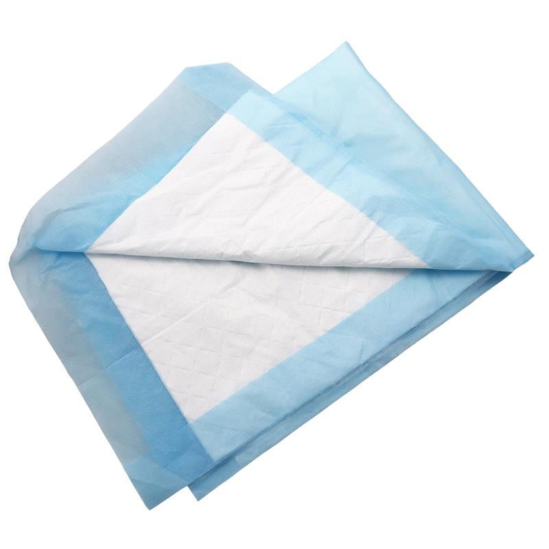 Buy Livingstone Incontinence Bluey Underpads 8-Ply, 250Pieces Online at ...