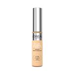 L'Oreal Paris True Match Radiant Serum Concealer 5W