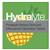 Hydralyte Electrolyte Effervescent Pineapple 20 Tablets