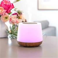 Buy Lively Living Aroma-Home Diffuser 500ml + Oil 1unit Online at ...