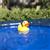 Playgro Bath Duckie