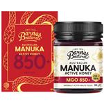 Barnes Natural 500g Jar Manuka Honey MGO850+ Single Giftbox Year of Snake Carton 2x4 (Excluding WA)