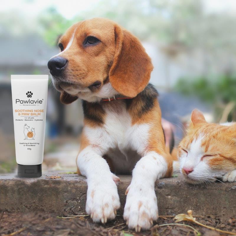 Buy Pawlavie Soothing Nose Paw Balm For cats dogs 80g