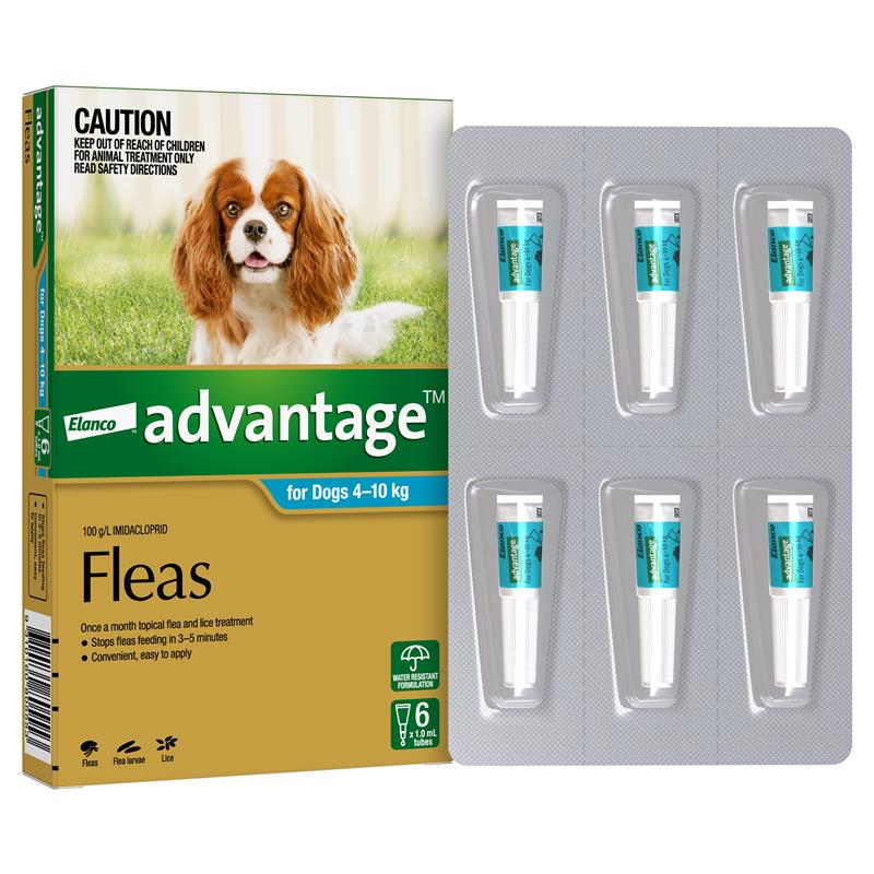 Advocate for outlet dogs chemist warehouse