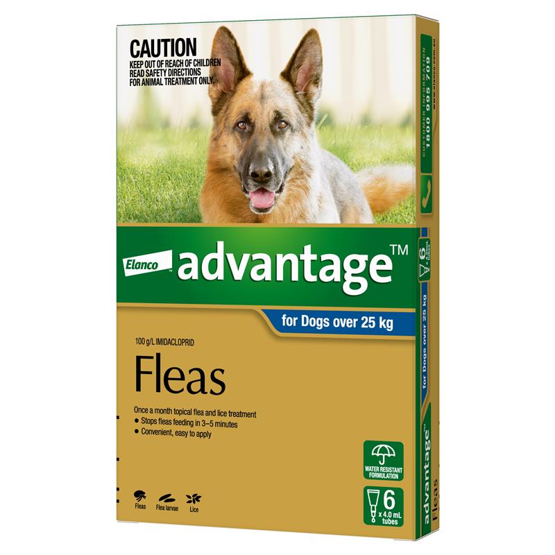 Buy Advantage for Dogs over 25 kg 6 pack Online at Chemist Warehouse®