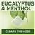 Soothers Eucalyptus/Menthol Lozenges 10