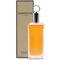 Buy Lagerfeld Classic Eau De Toilette 100ml Online at Chemist Warehouse®