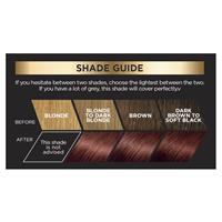 Buy L'Oreal Paris Preference Milan 4.5 Intense Brown Online at Chemist ...