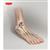 Elastoplast Everyday Ankle Support M