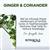 L'Oreal Botanicals Coriander Strength Cure Mask 200ml