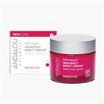 Andalou 1000 Roses Heavenly Night Cream 50g Online Only