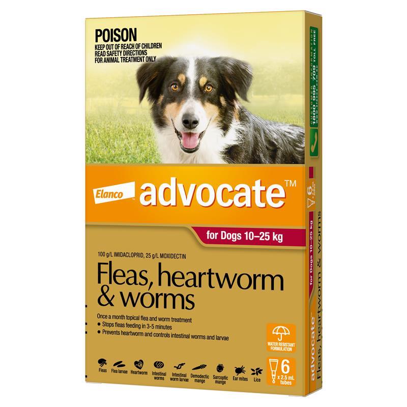 Buy Advocate Dog Large 10-25KG 6 Online at Chemist Warehouse®