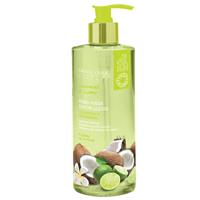 Fruitworks Coconut and Lime Hand Wash 500ml